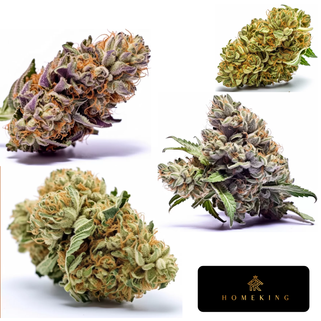 Neujahrskollektion 2025: Premium Cannabis-Samen (Sweet Bonbon, Big Daddy Purple, Sour Fuel + Bonus)