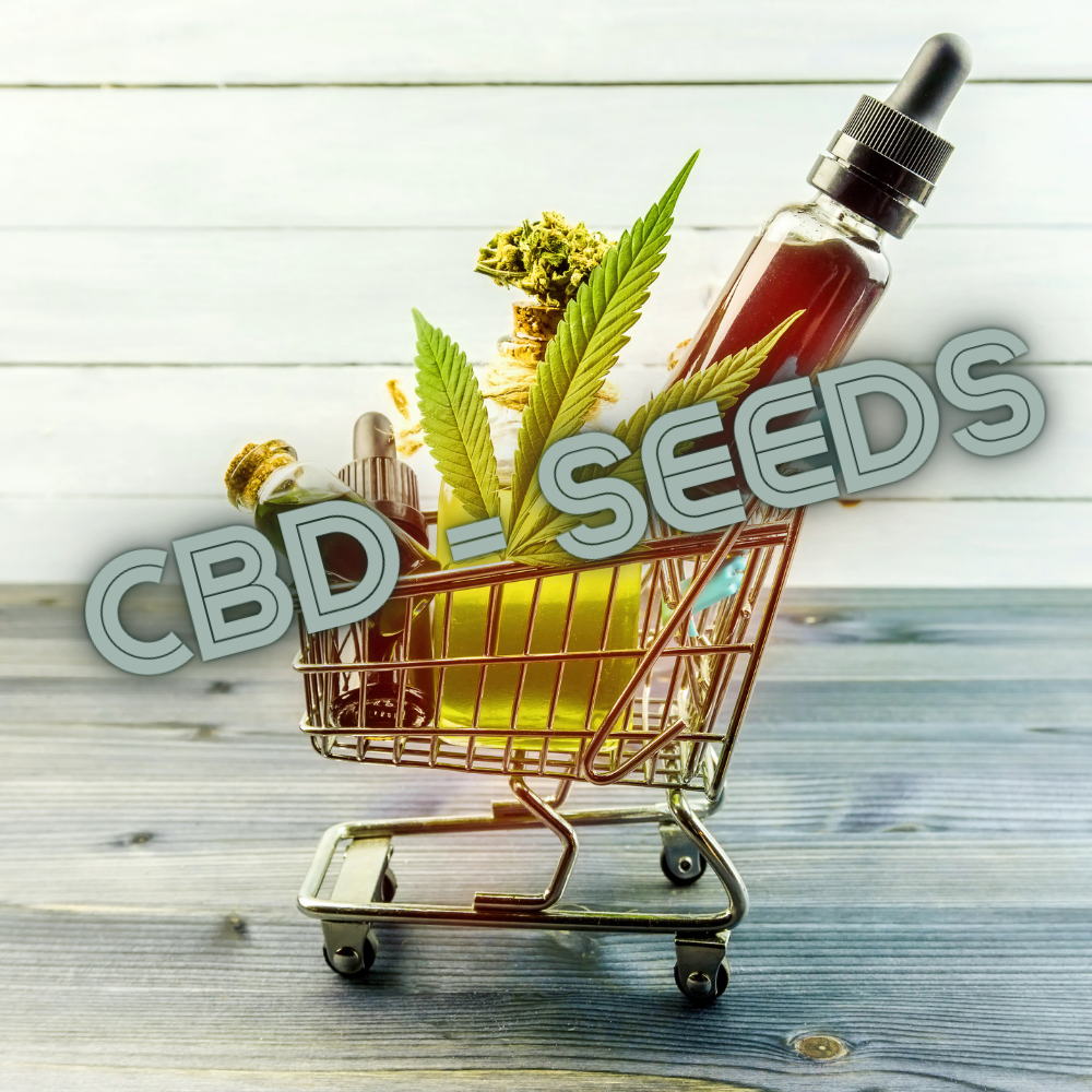CBD Seeds – Gentle Power for Relaxation and Wellness