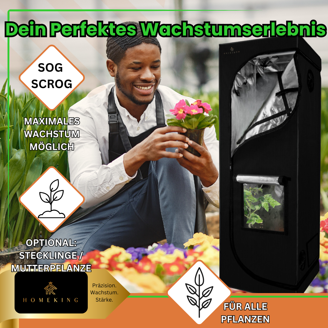 HOMEKING Grow Tent 60x60x180 – Perfect for Beginners & Pros | Cultivation Tent for Hydroponics | Stable, Lightproof & Easy to Maintain | Indoor Greenhouse Hydroponic System | Black