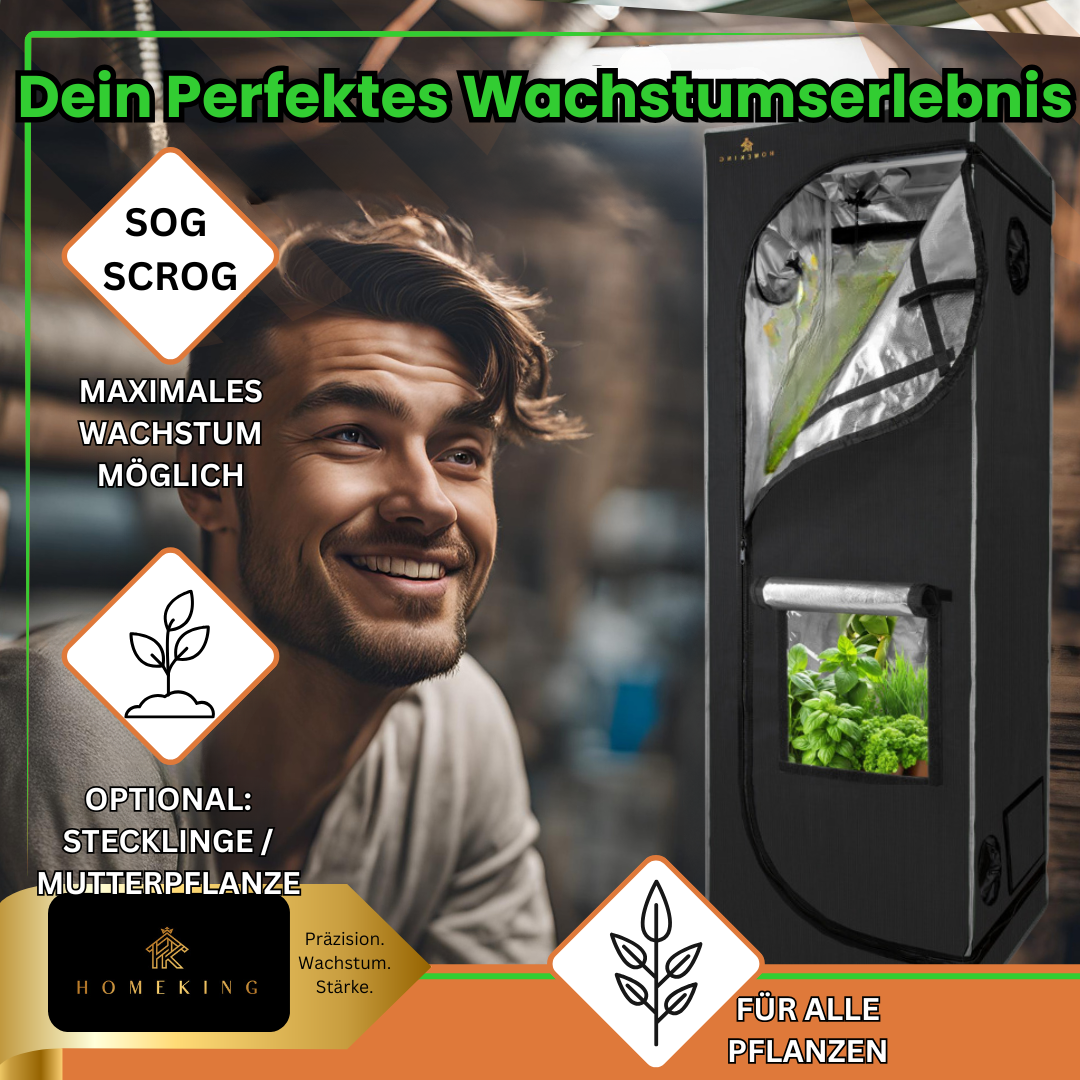 HOMEKING Grow Tent 60x60x180 – Perfect for Beginners & Pros | Cultivation Tent for Hydroponics | Stable, Lightproof & Easy to Maintain | Indoor Greenhouse Hydroponic System | Green
