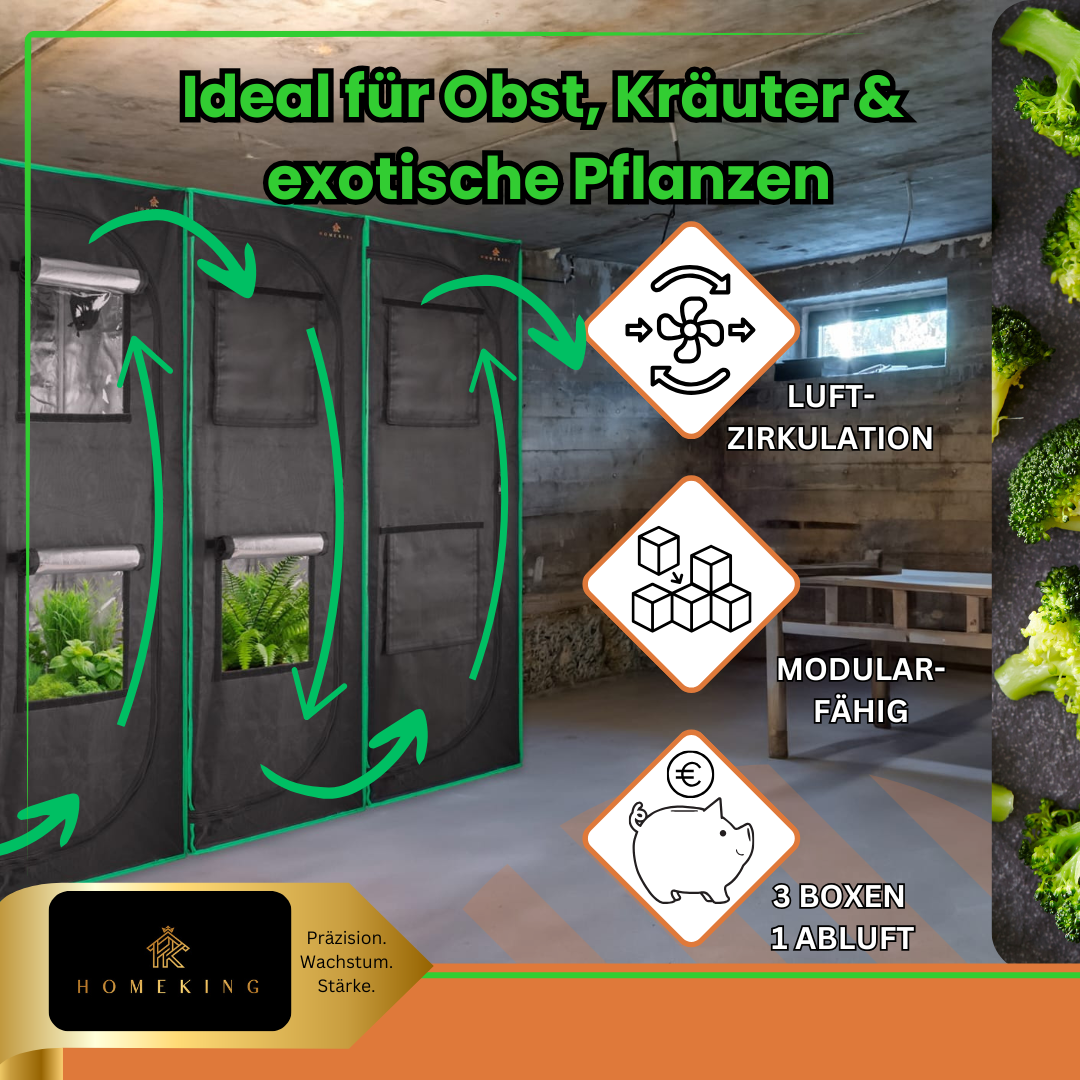 HOMEKING Grow Tent 60x60x180 – Perfect for Beginners & Pros | Cultivation Tent for Hydroponics | Stable, Lightproof & Easy to Maintain | Indoor Greenhouse Hydroponic System | Gray